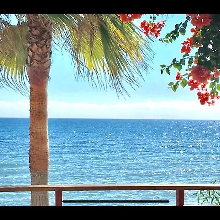 Apartment Mi Capricho Beachfront- P300 - With Sea View *